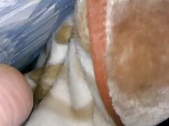 Webcam kız amatör çıtır porno 24 güzel büyük memeli